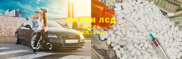 ПСИЛОЦИБИНОВЫЕ ГРИБЫ Каменка