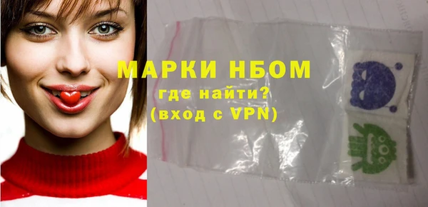 ПСИЛОЦИБИНОВЫЕ ГРИБЫ Каменка