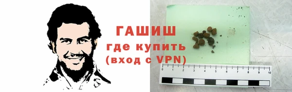 ПСИЛОЦИБИНОВЫЕ ГРИБЫ Каменка