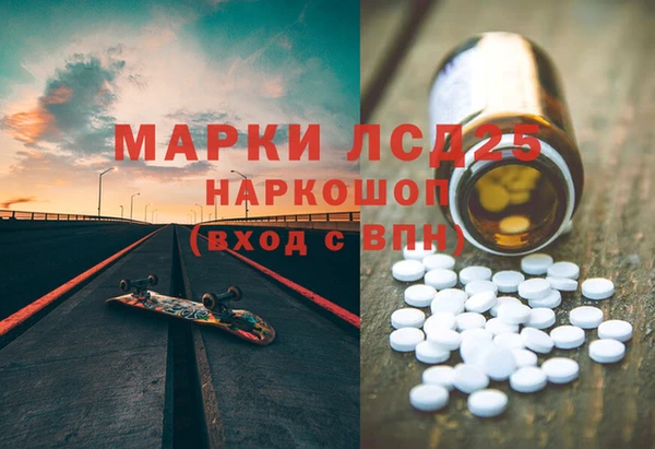 ПСИЛОЦИБИНОВЫЕ ГРИБЫ Каменка