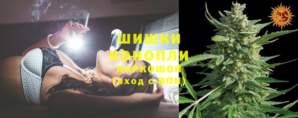 ПСИЛОЦИБИНОВЫЕ ГРИБЫ Каменка