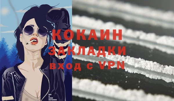 ПСИЛОЦИБИНОВЫЕ ГРИБЫ Каменка