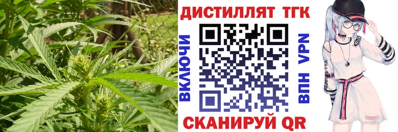 Купить  Чистополь  Дистиллят ТГК гашишное масло 