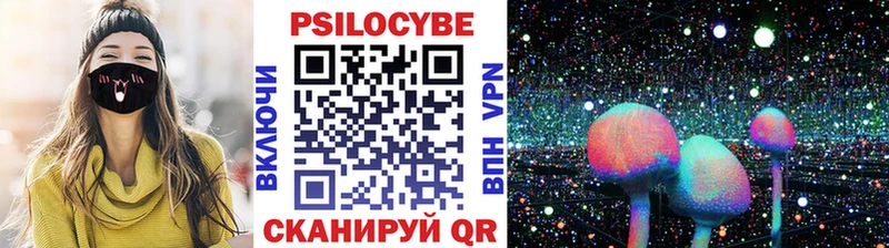 Купить где  Чистополь  Галлюциногенные грибы MAGIC MUSHROOMS 